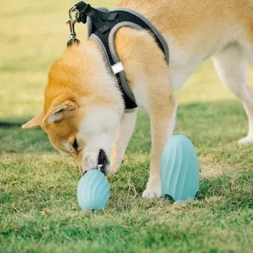 Food Ball Teasing Dog Teether Bite-resistant Pet Educational Toy