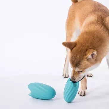 Food Ball Teasing Dog Teether Bite-resistant Pet Educational Toy