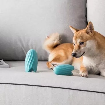 Food Ball Teasing Dog Teether Bite-resistant Pet Educational Toy