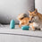 Food Ball Teasing Dog Teether Bite-resistant Pet Educational Toy