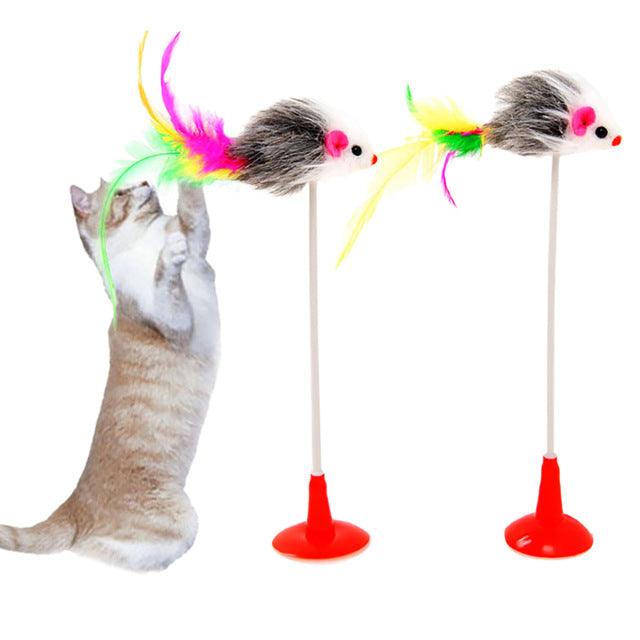 Cat Mouse Toy | Best Interactive Cat Toys | bankshayes40