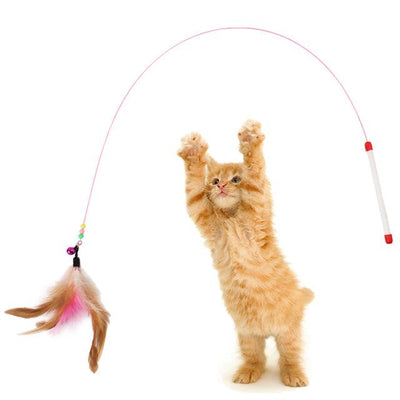 Cat Mouse Toy | Best Interactive Cat Toys | bankshayes40