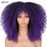 Short Hair Afro Kinky Curly Wig - bankshayes40