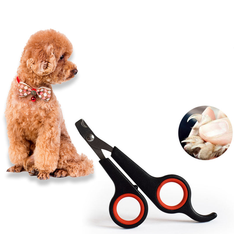 dog  or cat clippers