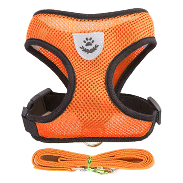 Dogs Puppy Harness Collar Cat - bankshayes40