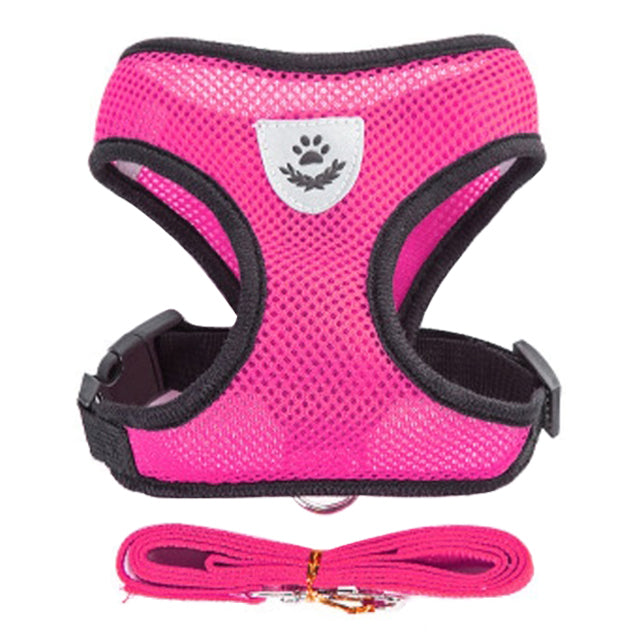 Dogs Puppy Harness Collar Cat - bankshayes40