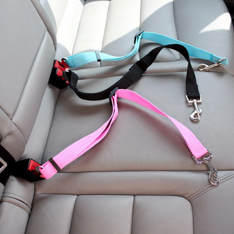 pet dog cat  car seat